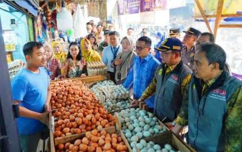 Imbas Kemarau Panjang, Sejumlah Harga Komoditas Naik Imbas Kemarau Panjang, Sejumlah Harga Komoditas Naik