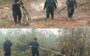Hari Minggu Tak Surutkan Semangat Personel Polda Kalteng Padamkan Karhutla Demi Masyarakat