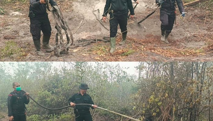 Hari Minggu Tak Surutkan Semangat Personel Polda Kalteng Padamkan Karhutla Demi Masyarakat