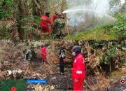Posko Karhutla Kapuas: 33.186 Titik Panas, 3.615 Hektar Terbakar; Api Masih Berpotensi Meluas Posko Karhutla Kapuas: 33.186 Titik Panas, 3.615 Hektar Terbakar; Api Masih Berpotensi Meluas