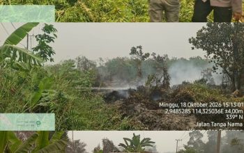 BPBD Kapuas Padamkan Karhutla di Desa Maju Bersama, Luas Lahan Terbakar Capai 10 Hektare BPBD Kapuas Padamkan Karhutla di Desa Maju Bersama, Luas Lahan Terbakar Capai 10 Hektare