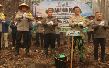 Pulihkan Lahan Bekas Terbakar, Polda Kalteng Wujudkan Green Policing Dengan Tanam 500 Bibit Pohon Belangiran Pulihkan Lahan Bekas Terbakar, Polda Kalteng Wujudkan Green Policing Dengan Tanam 500 Bibit Pohon Belangiran