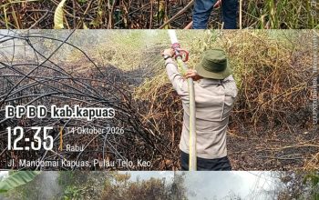 Karhutla di Saka Kehu Desa Pulau Telo Baru Berhasil Dipadamkan, Luas 1 Hektare