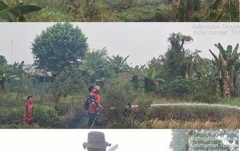 Kebakaran Lahan di Sekitar Dinas Pertanian Kapuas Berhasil Dipadamkan, Luas 510 Meter Persegi
