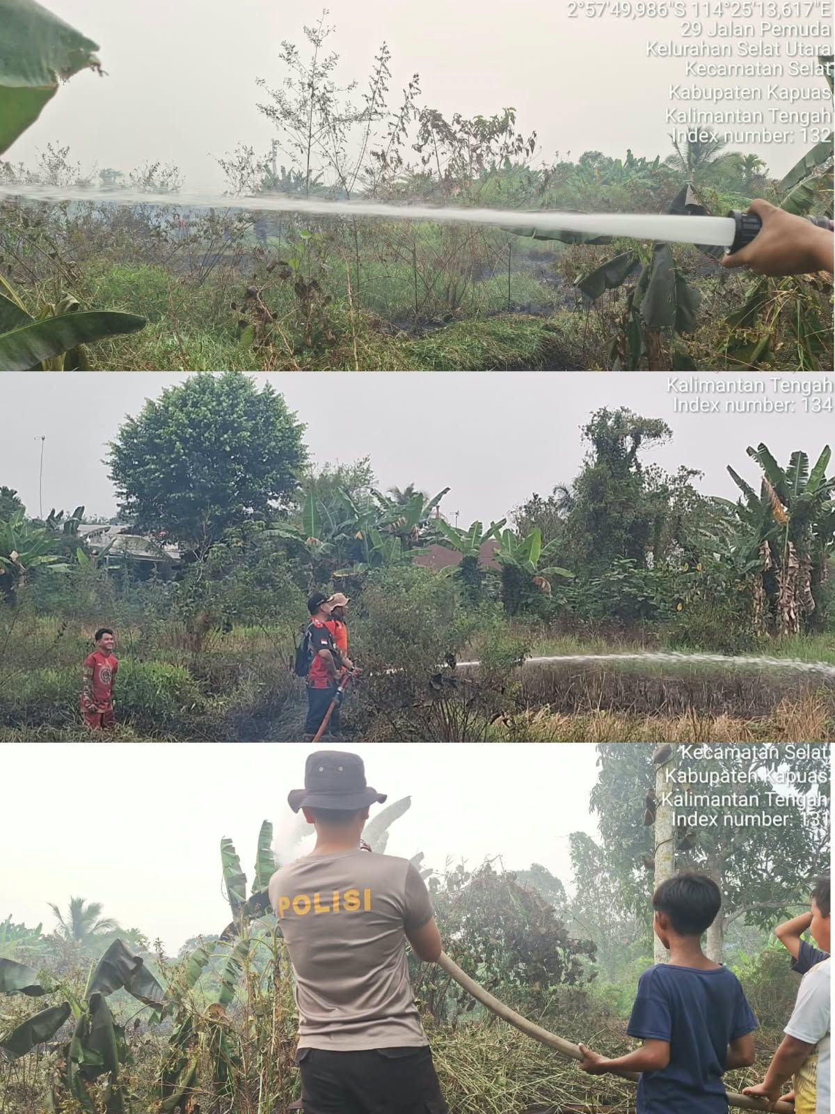 Kebakaran Lahan di Sekitar Dinas Pertanian Kapuas Berhasil Dipadamkan, Luas 510 Meter Persegi