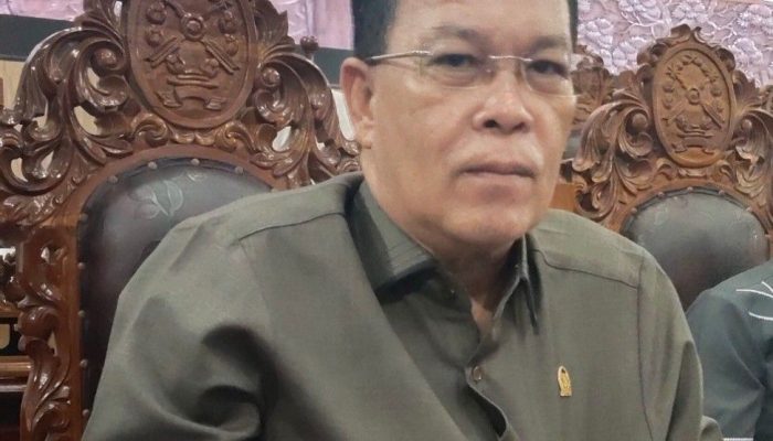 Anggota DPRD Kapuas Ilham Anwar Apresiasi Kerja Keras Tim Gabungan Penanganan Karhutla