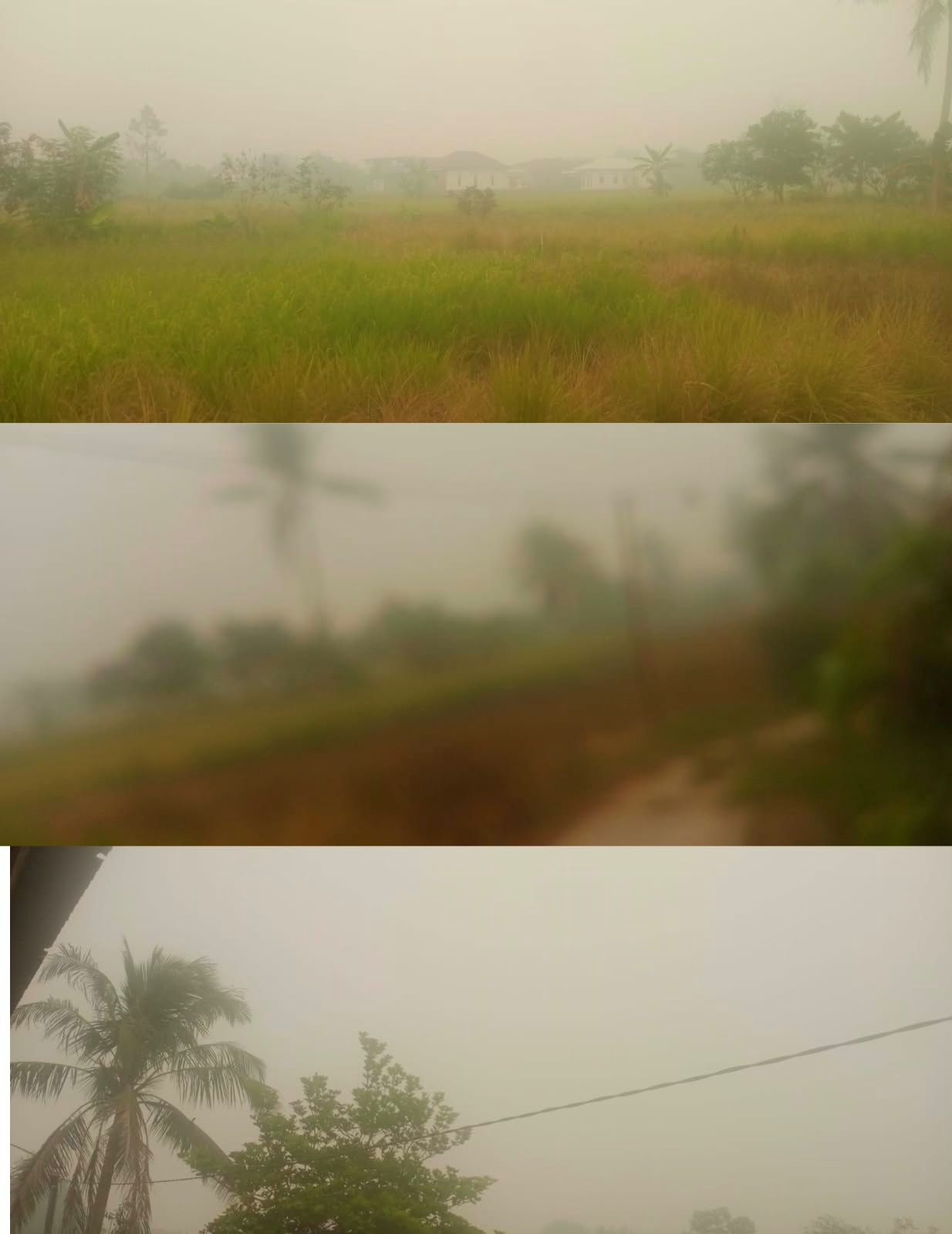 Kabut Asap Pekat Selimuti Kapuas, 3.659 Hektare Lahan Terbakar — Ini Wilayah Terparah & Imbauan Penting Bagi Warga