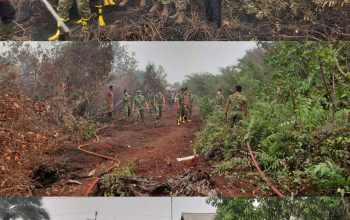Komandan Kodim 1011/KLK Dampingi KSAD Tinjau Langsung Penanganan Karhutla di Pulang Pisau Komandan Kodim 1011/KLK Dampingi KSAD Tinjau Langsung Penanganan Karhutla di Pulang Pisau