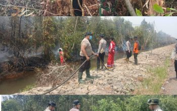 Satgas Karhutla Kapuas Padamkan Kebakaran di Belakang SMA 3, Luas Terbakar ±90 Hektare
