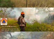Jalan Gerdayak: Kebakaran Masih Belum Terkendali, Api Masuk Lebih Dalam ke Hutan