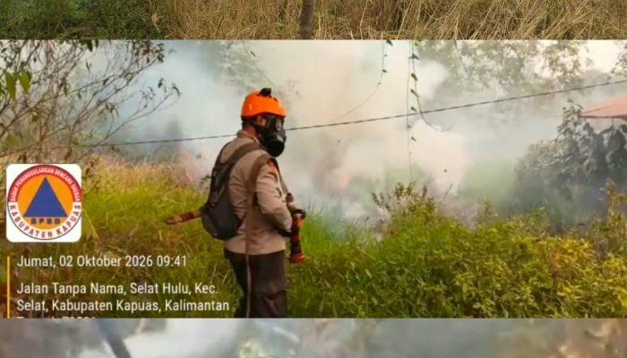 Jalan Gerdayak: Kebakaran Masih Belum Terkendali, Api Masuk Lebih Dalam ke Hutan