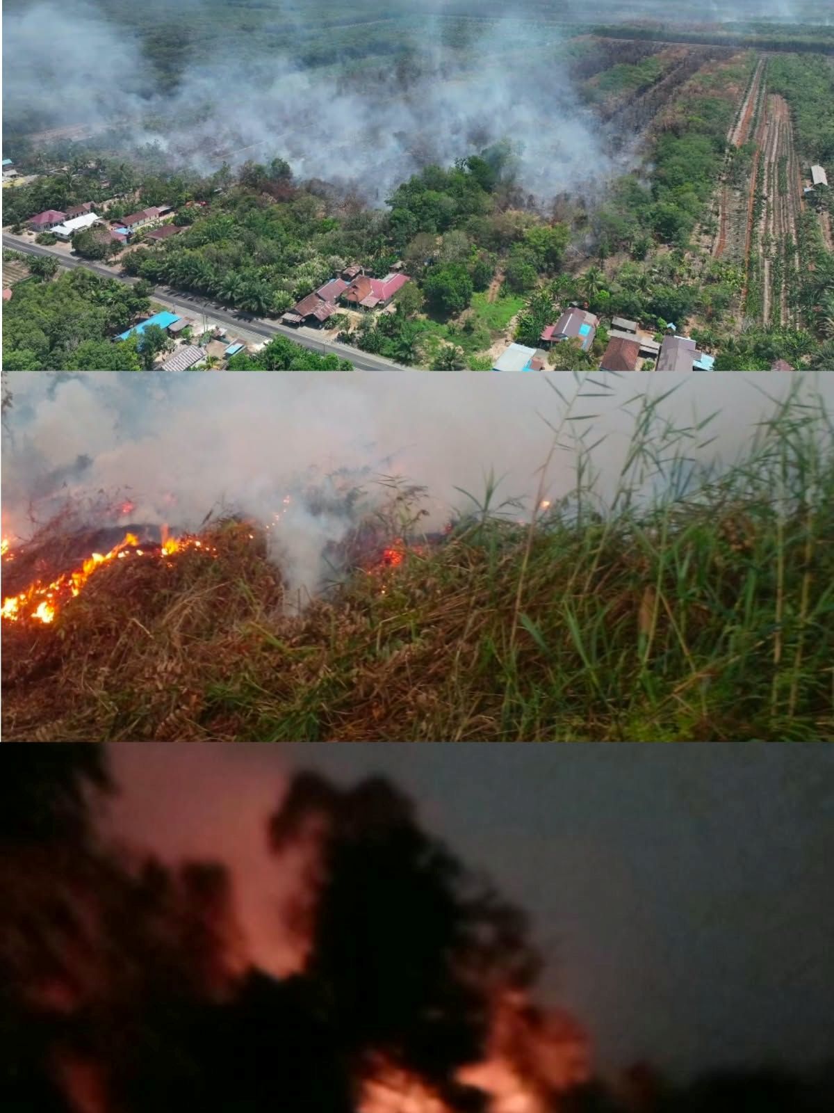 Kekeringan & Karhutla di Kapuas Makin Menggawat: Hotspot Melonjak, Bantuan Diberikan, Musim Hujan Mulai Bertahap