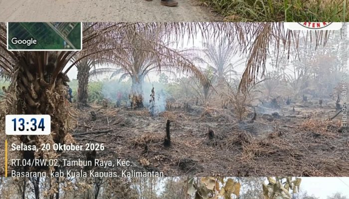 Laporan Kejadian dan Pemadaman Karhutla – di Kabupaten Kapuas, Selasa, 20 Oktober 2026