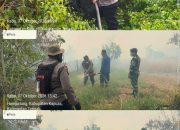 Satgas Padamkan Kebakaran Lahan di Hampatung, Api Berhasil Dikendalikan