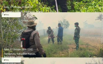 Satgas Padamkan Kebakaran Lahan di Hampatung, Api Berhasil Dikendalikan