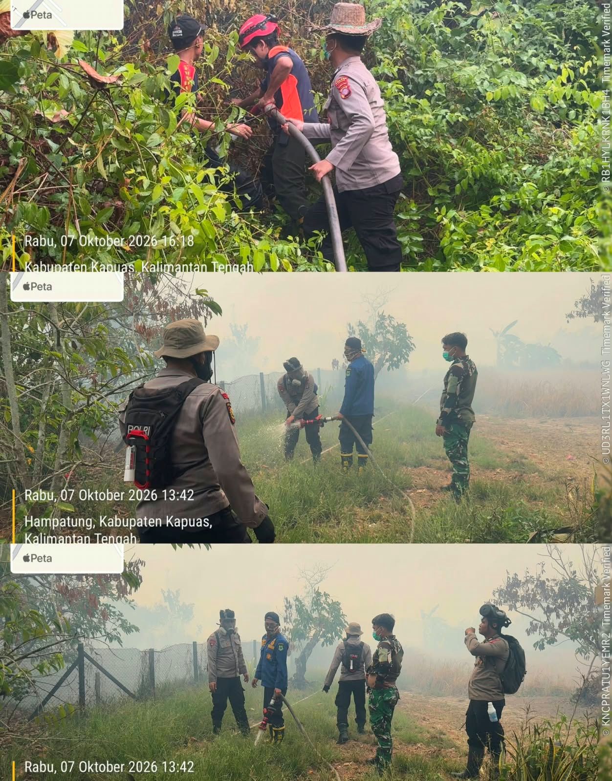 Satgas Padamkan Kebakaran Lahan di Hampatung, Api Berhasil Dikendalikan