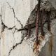 Gempa Mengguncang, Mutu Tulangan Beton Ikut Diuji