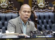 RUU SDI Atur Penguatan Kedaulatan Data Nasional