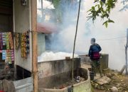 Peduli Kesehatan Lingkungan, PTPN Group melalui Unit Riset Sungei Putih PT RPN Berkolaborasi Lakukan Fogging