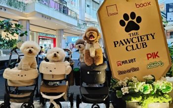 The Pawciety Club Bawa Dunia Dog Lovers ke PIK Avenue The Pawciety Club Bawa Dunia Dog Lovers ke PIK Avenue