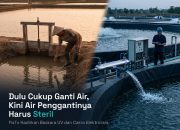 Dulu Cukup Ganti Air, Kini Air Penggantinya Harus Steril: FisTx Hadirkan Baskara UV dan Cakra Elektrolisis Dulu Cukup Ganti Air, Kini Air Penggantinya Harus Steril: FisTx Hadirkan Baskara UV dan Cakra Elektrolisis