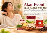 Akar Peoni Jadi Kunci Zuo Hao Shi untuk Meredakan Sakit Leher Belakang Akar Peoni Jadi Kunci Zuo Hao Shi untuk Meredakan Sakit Leher Belakang