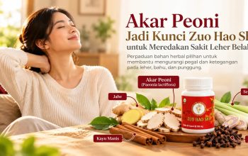 Akar Peoni Jadi Kunci Zuo Hao Shi untuk Meredakan Sakit Leher Belakang Akar Peoni Jadi Kunci Zuo Hao Shi untuk Meredakan Sakit Leher Belakang