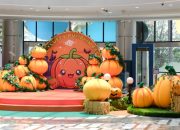 The Fluffy Pumpkin Fest, Keseruan Halloween di Hublife The Fluffy Pumpkin Fest, Keseruan Halloween di Hublife