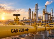 DIPRAKARSAI AGUS GUMIWANG, KEBIJAKAN GAS MURAH TOPANG INDUSTRI MESKI  PASOKAN TAK PERNAH PENUH