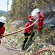 Aktifkan Emergency Management Team, NHM Perkuat Penanganan Karhutla
