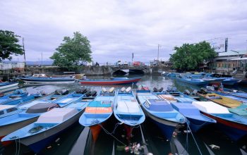 Inisiatif Sun to Sea dari Global Energy Alliance for People and Planet Perkuat Dukungan bagi Masyarakat Pesisir Indonesia